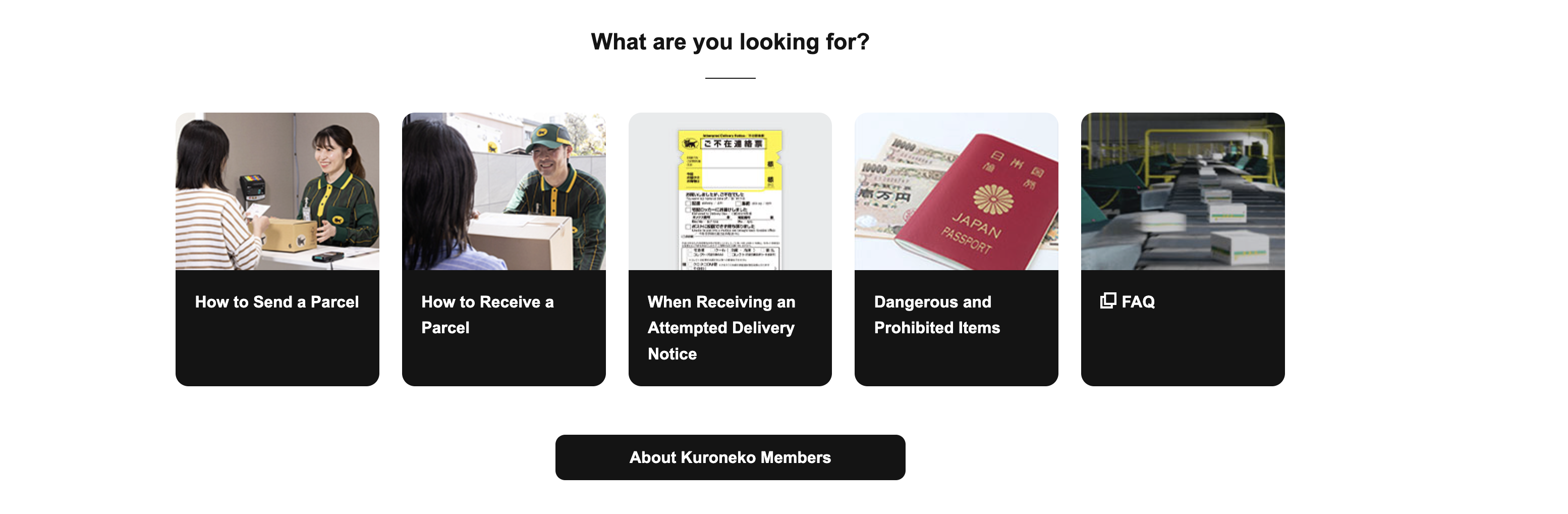 شاشة تحسين المسار